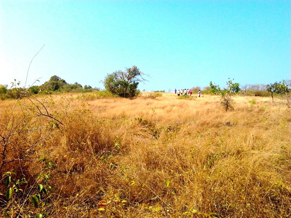  great places to see.