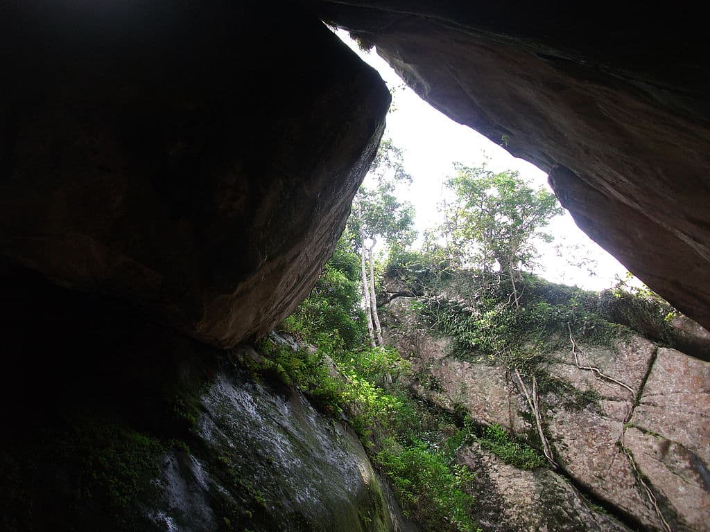 Bangalore to Wayanad