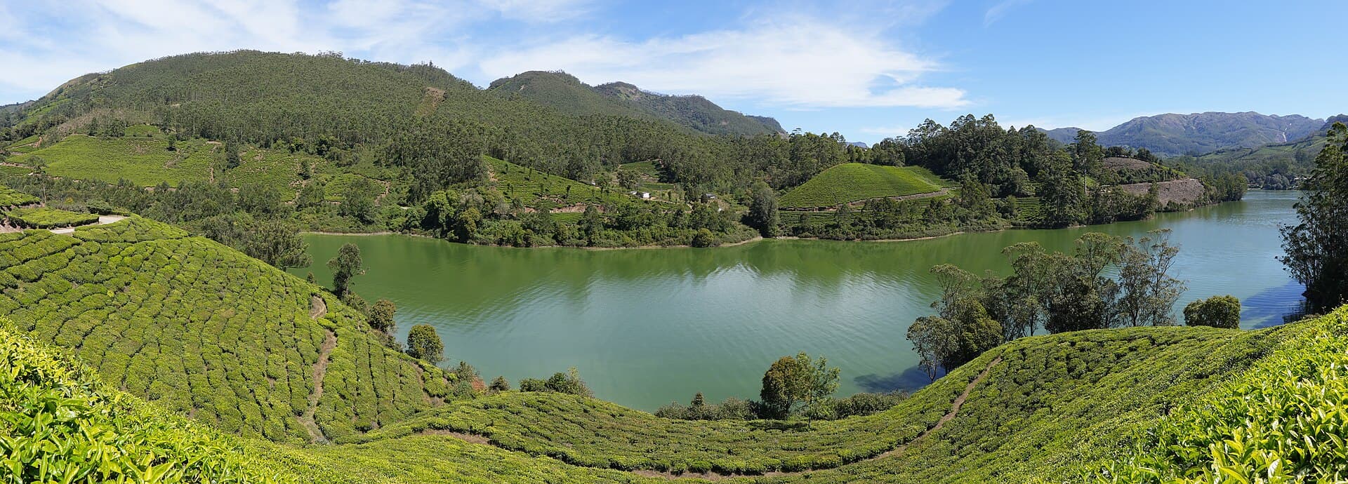 What Is the Ideal Itinerary for a Munnar Trip?