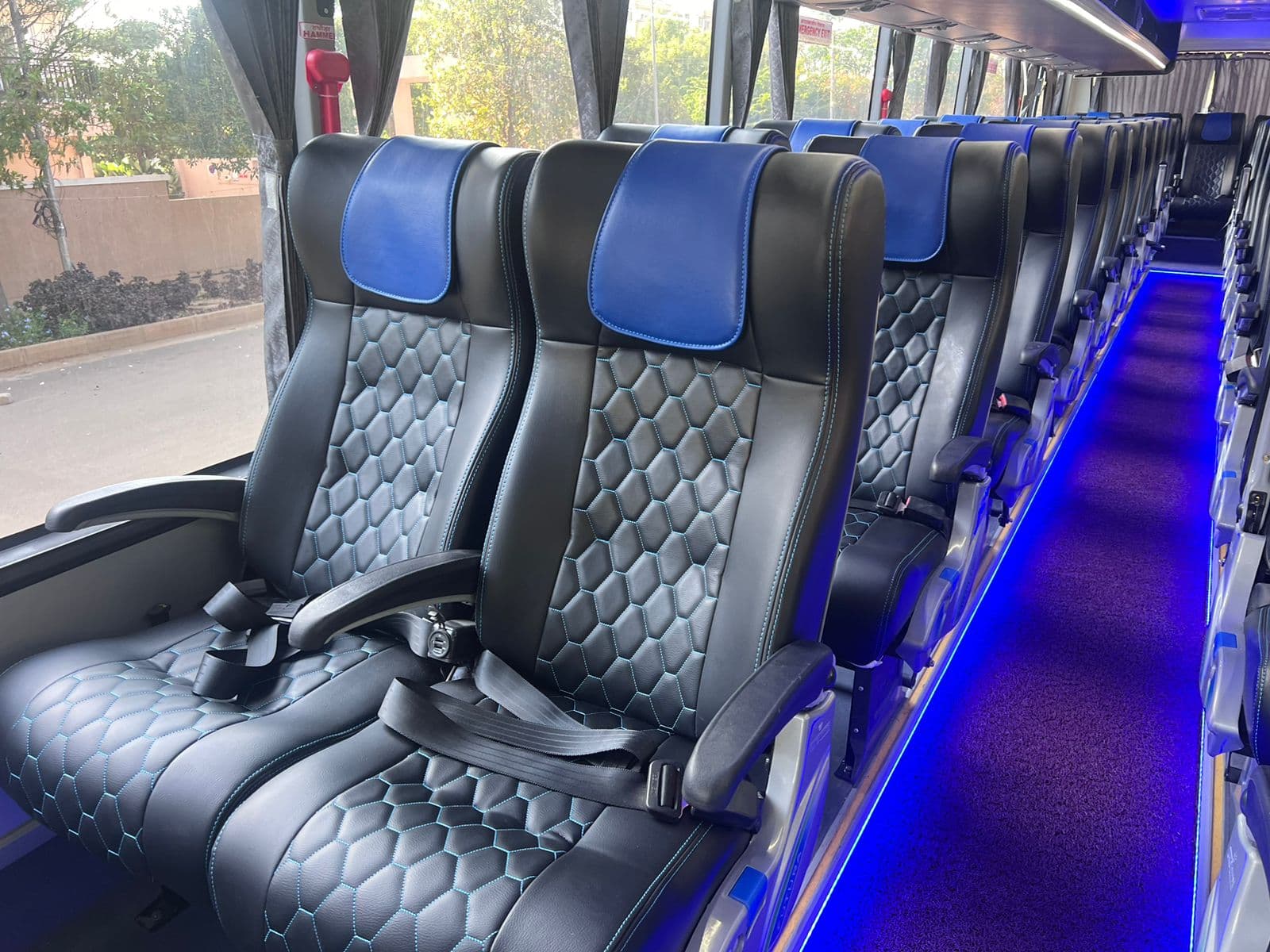 Why should you choose Tejas Travels? 