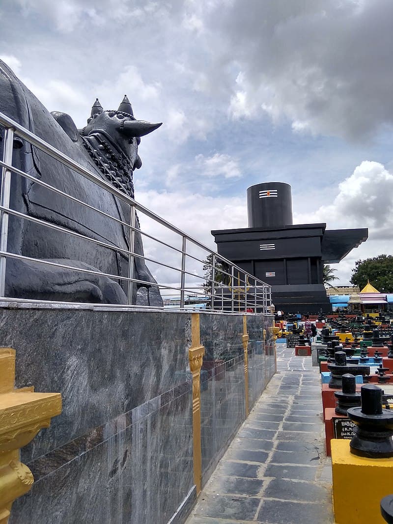 What are the temple timings and entry details?