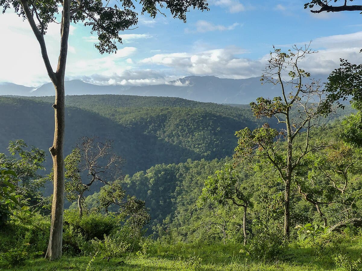 Bangalore to Bandipur
