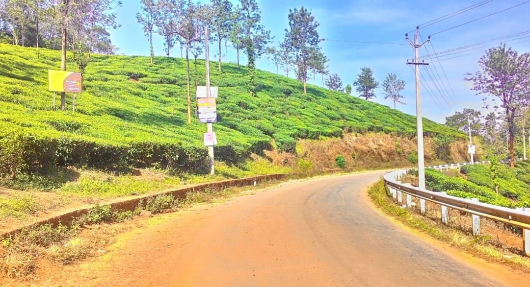 Best Routes