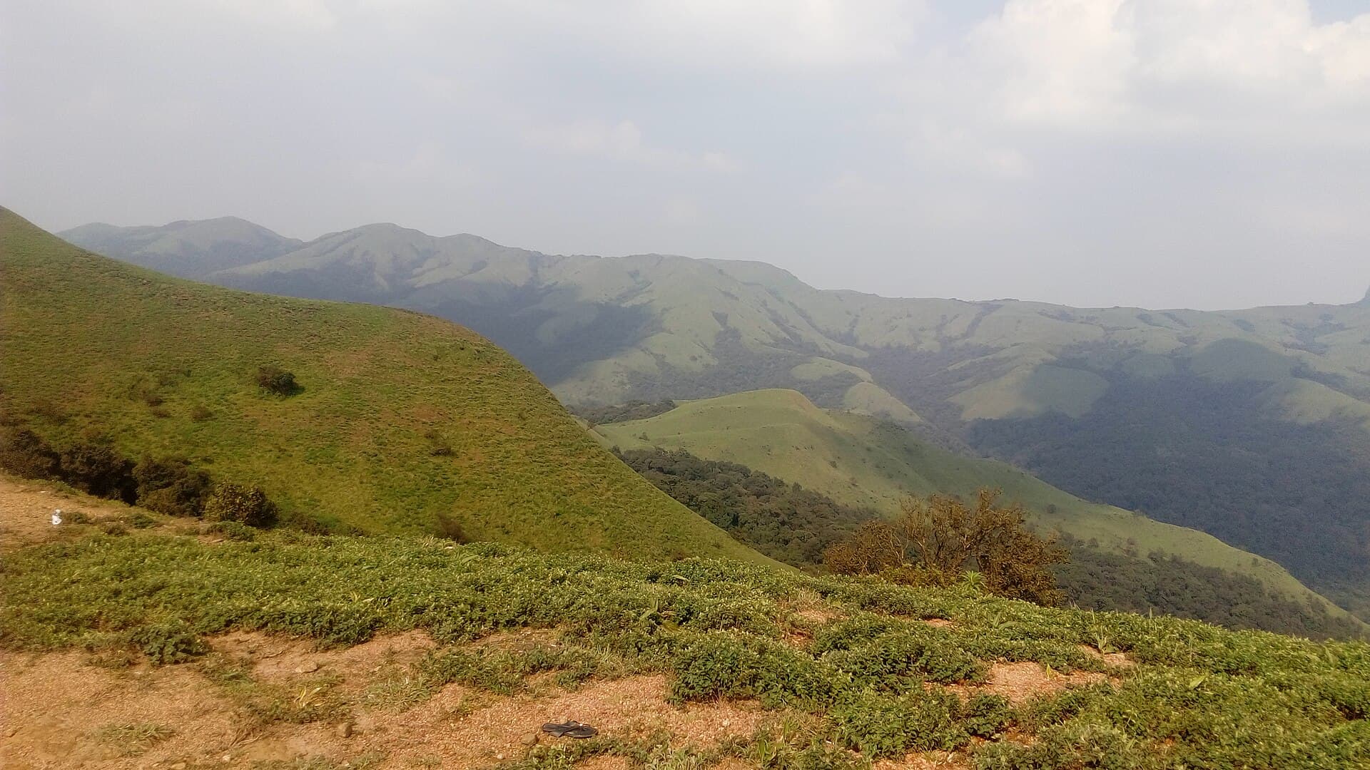 Bangalore to Coorg