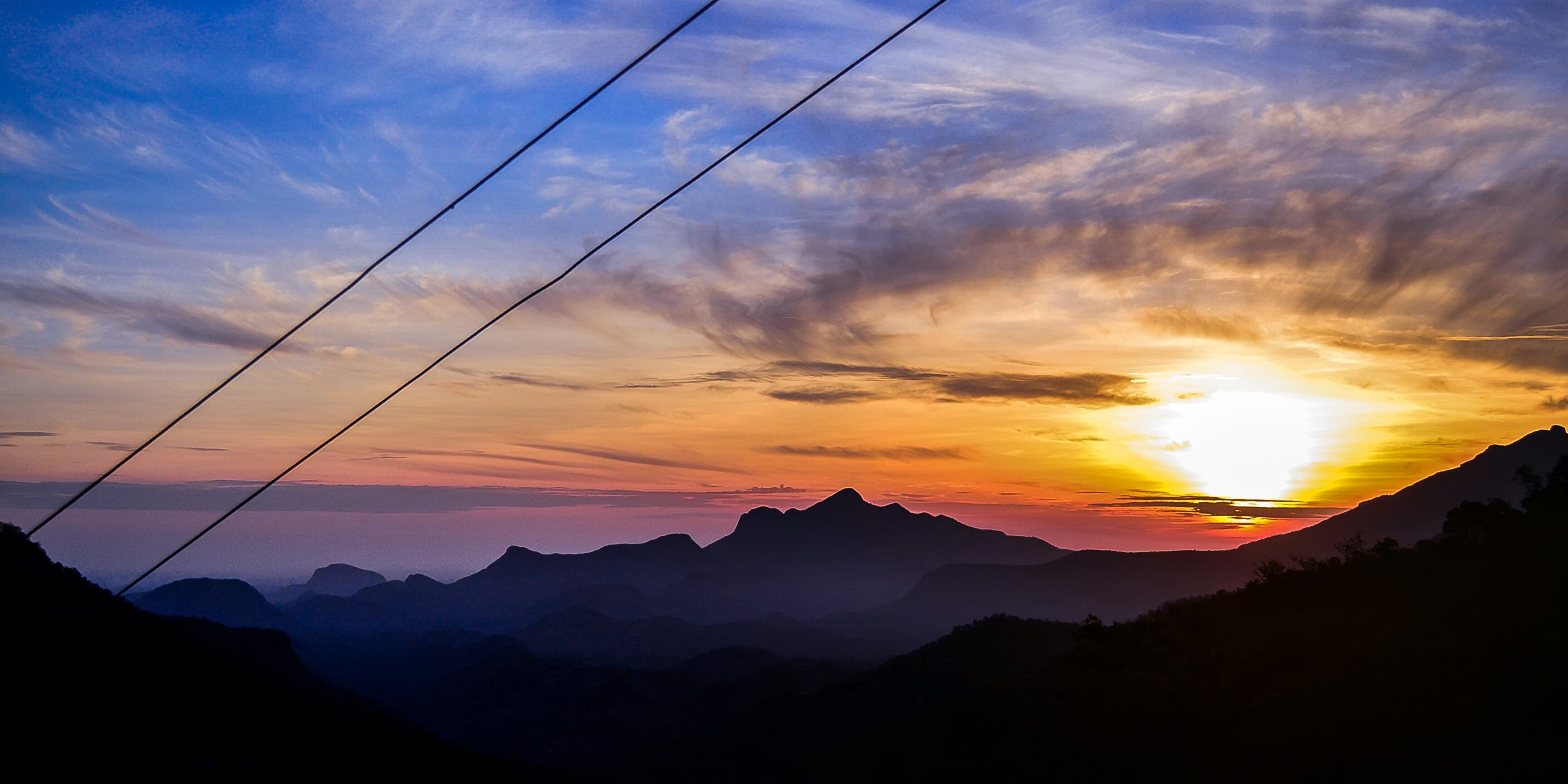 Top Things to Do in Munnar on Arrival