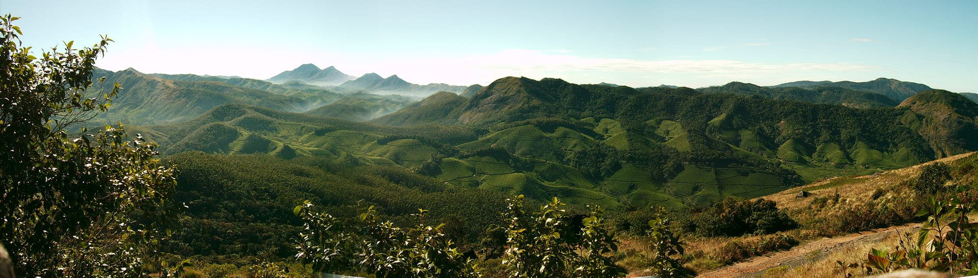 Bangalore to Munnar: The Complete Guide | Routes, Tips & FAQs