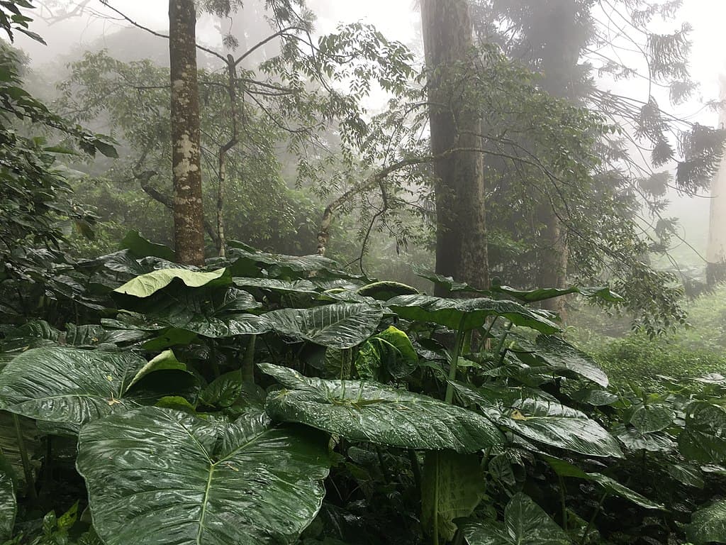 What Are the Safety Tips and Travel Recommendations for Nandi Hills?