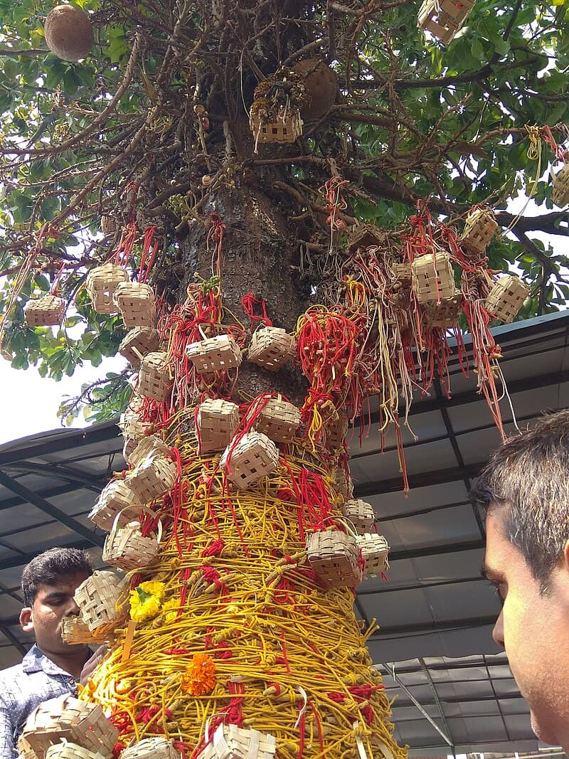 Uploaded image