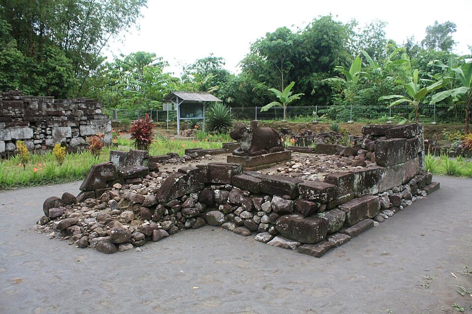 Uploaded image