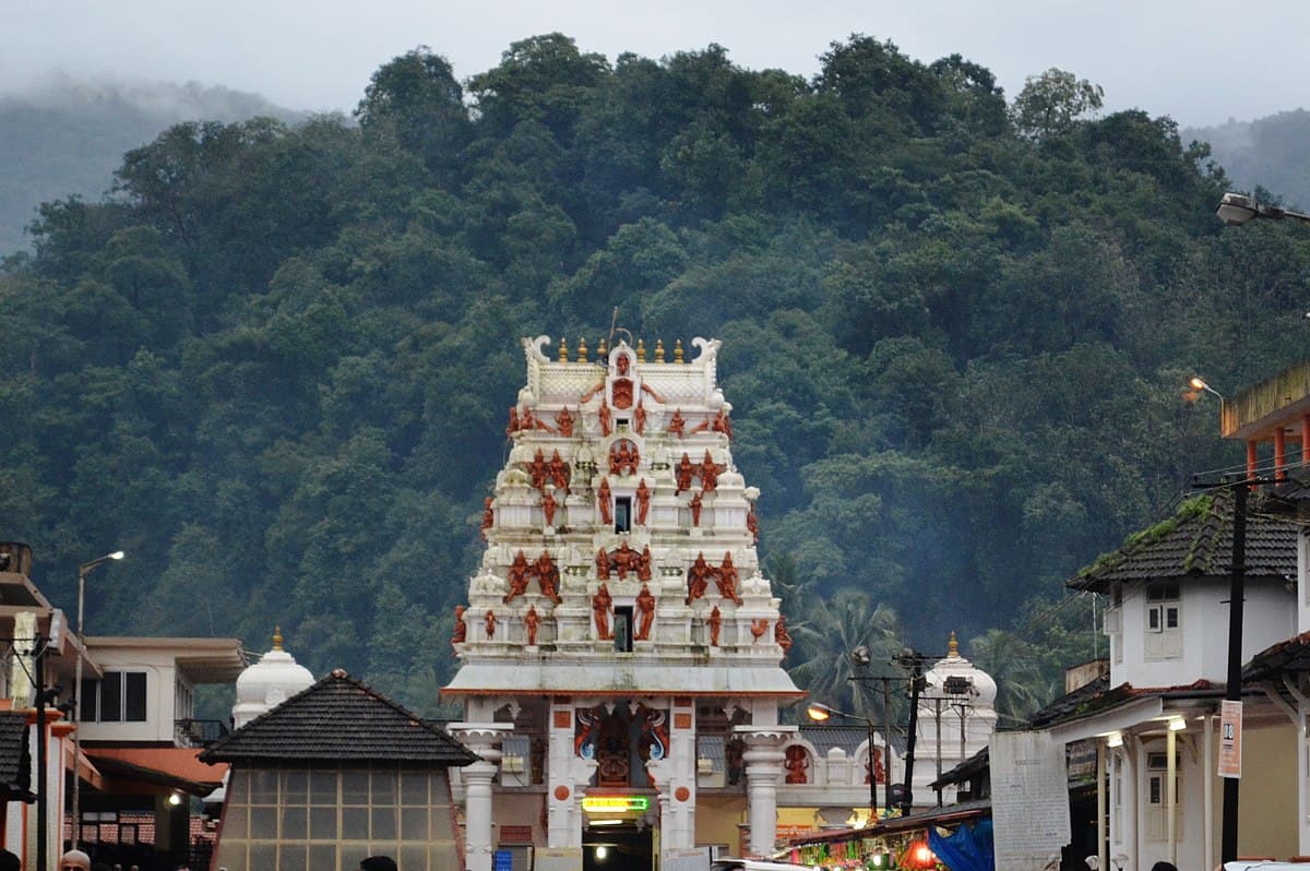 Uploaded image