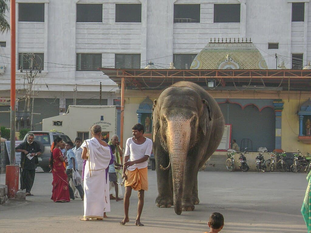 What Places Should I Visit in Mantralayam Apart from the Main Temple?